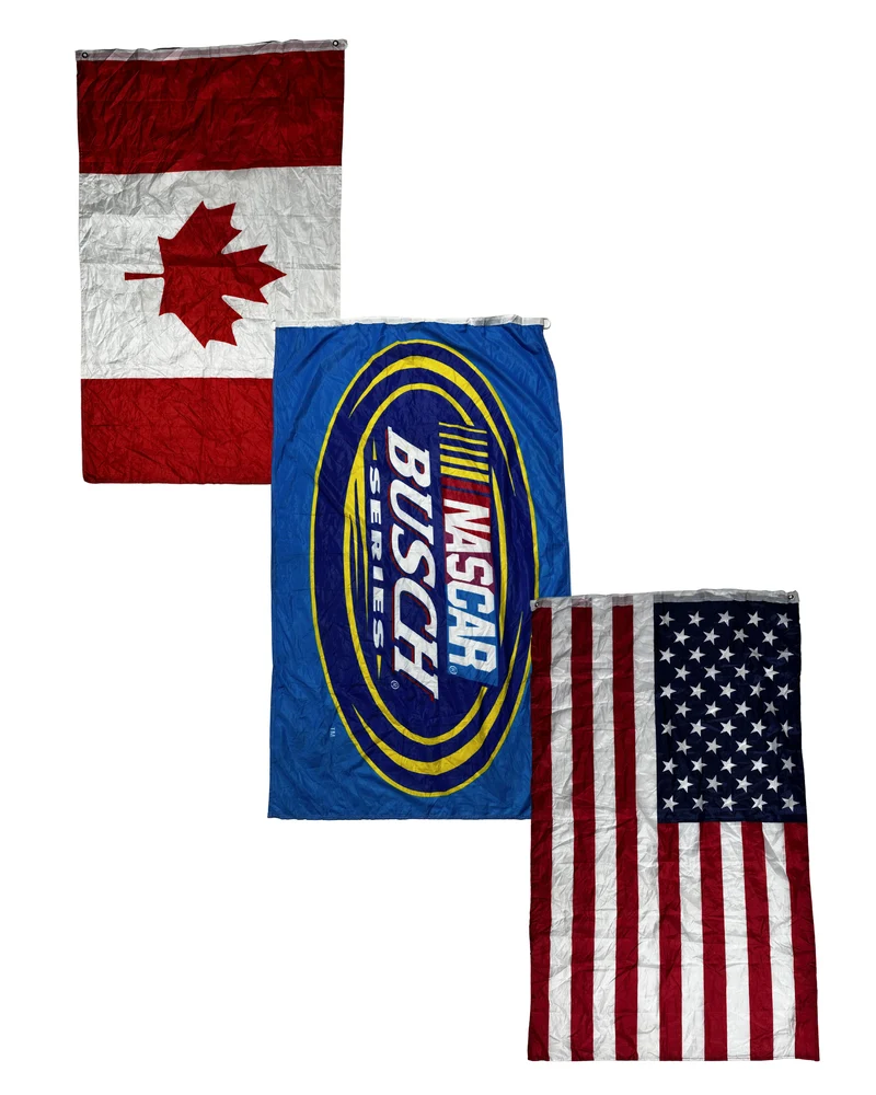100x FLAGS