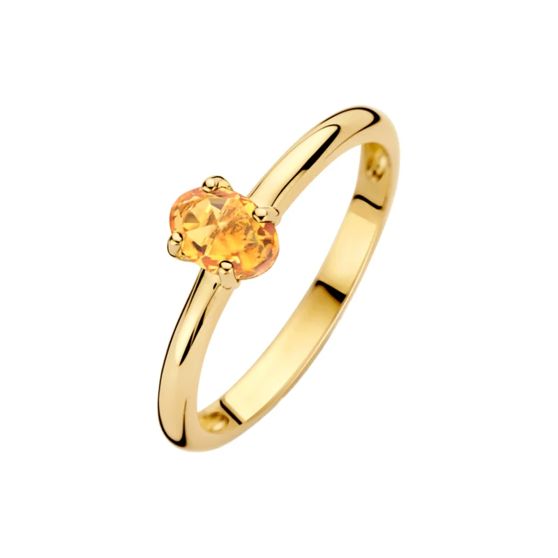 Blush 14 Karaat Gouden Ring 1242YCI/58