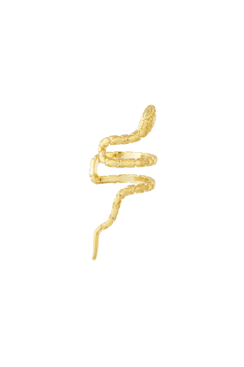 Oorclip met Dierdesign Dames – Koper – Goud & Zilver – Zonder Gaatjes