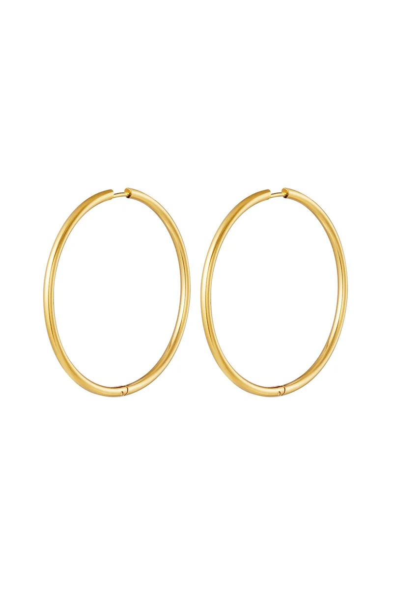Cirkel Oorbellen Dames – RVS – Goud & Zilver – Minimalistisch