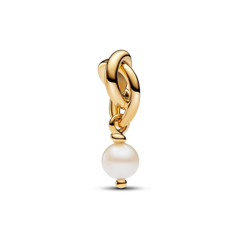 Pandora Moments 14 Karat Gold Plated Charm 763462C06