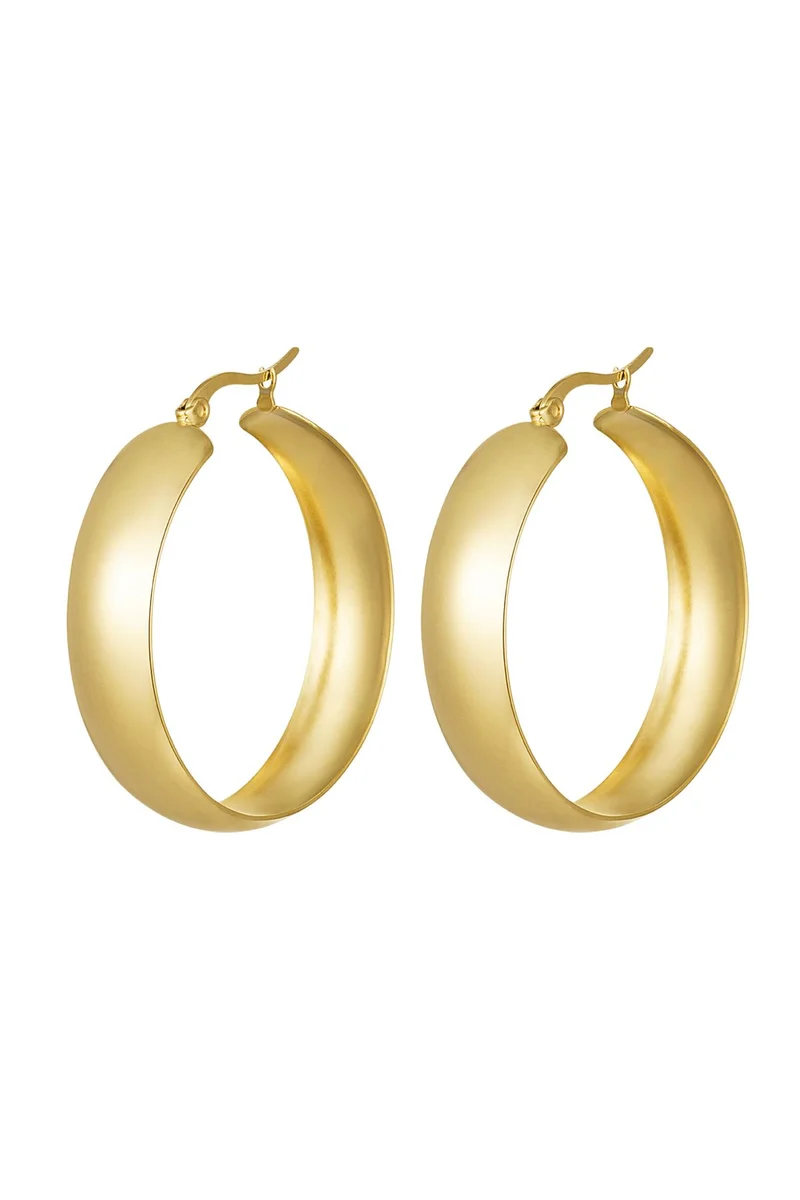 Ovale Creolen Dames – RVS – Goud & Zilver