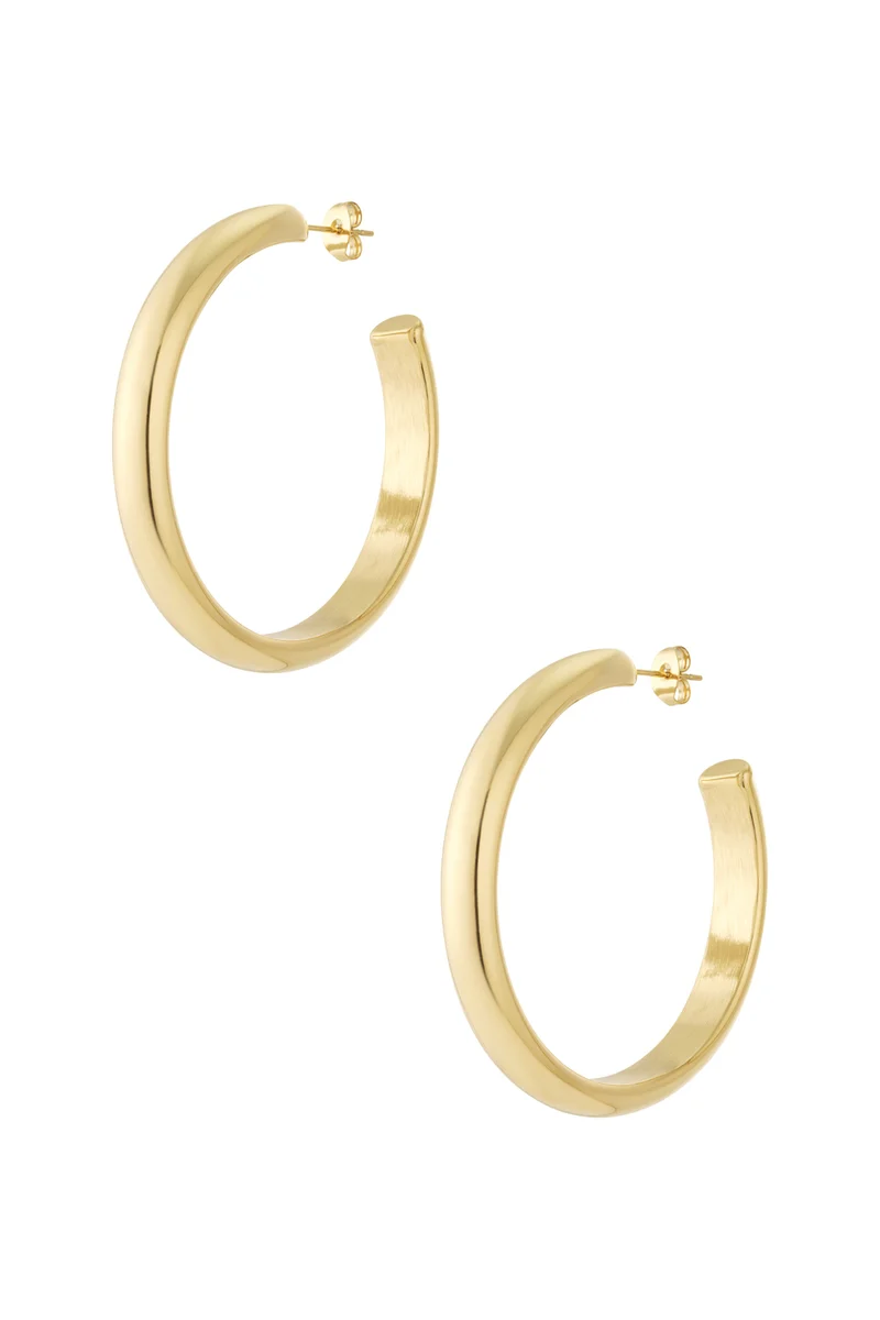 Onregelmatige Oorbellen Dames – RVS – 14K Verguld & Zilver