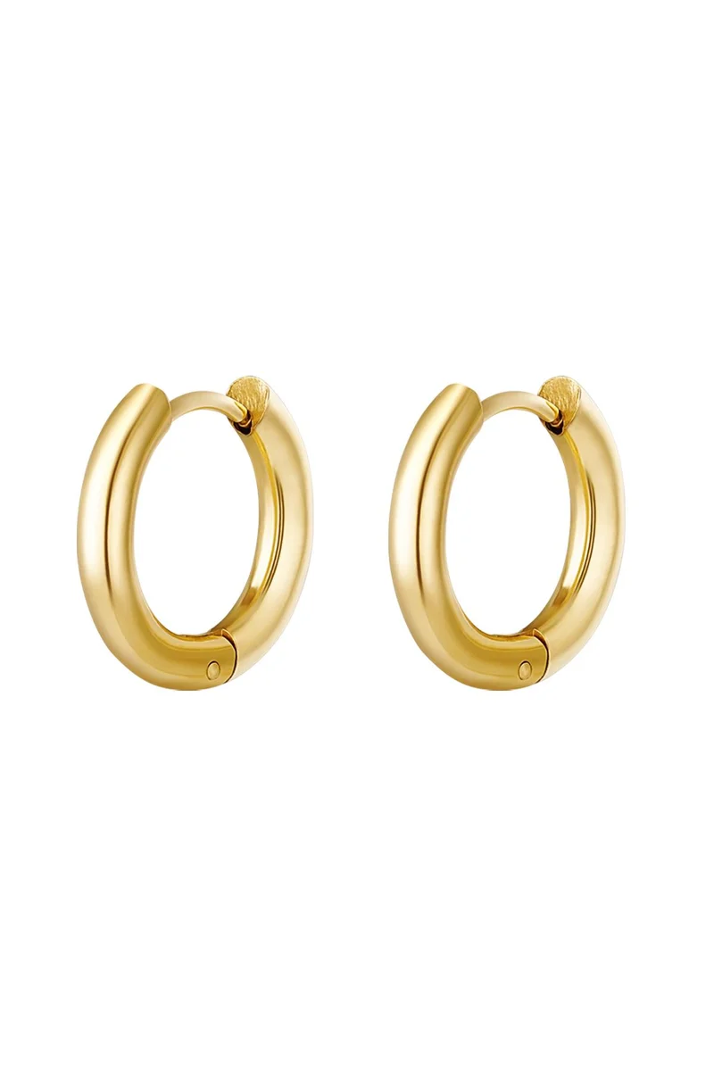 Oorbellen Dames – RVS – Goud & Zilver – Tijdloos Design