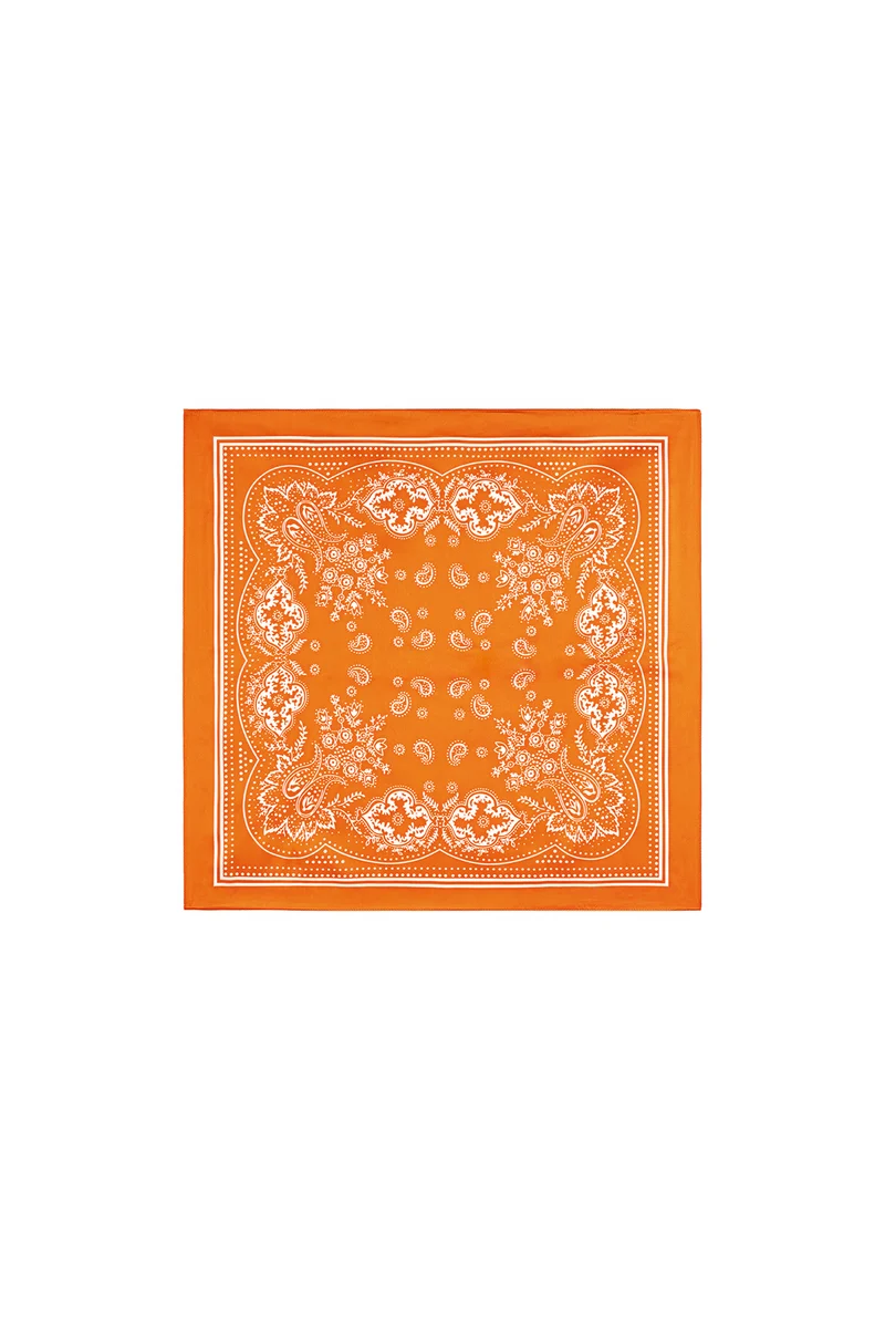 Neksjaal met Paisley Print – Polyester | Ethnic Series | Dames