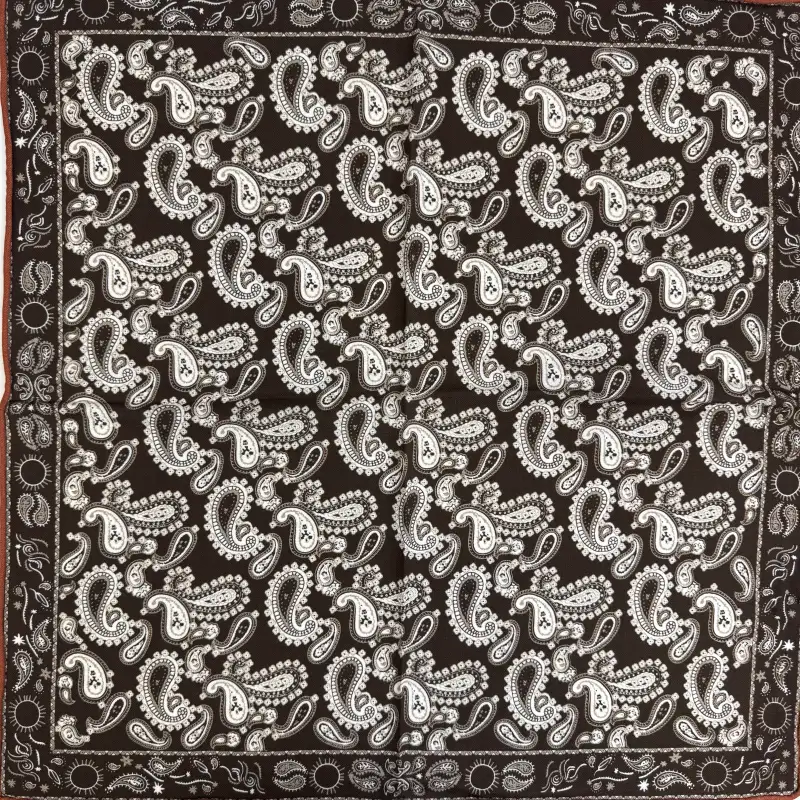 Groothandel Omkeerbare Paisley Pochet Digitale Print Zijden Sjaal