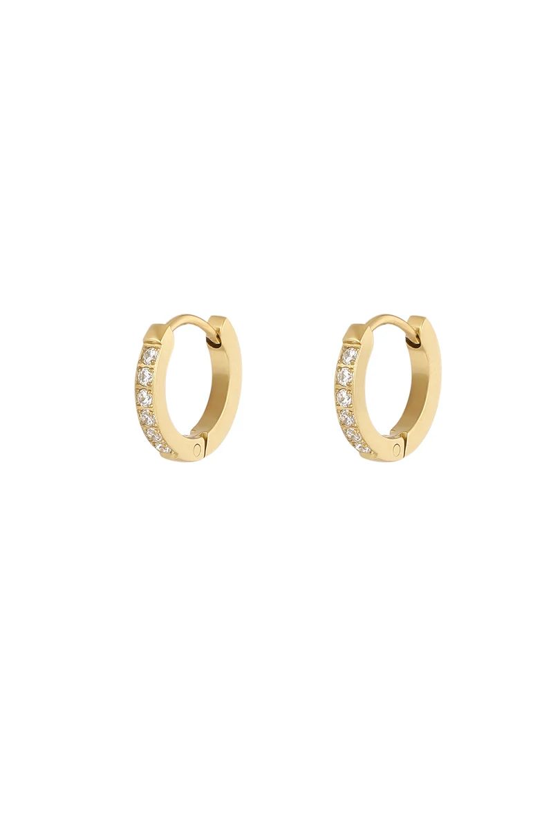 Oorbellen met Strass Dames – RVS – Goud & Zilver