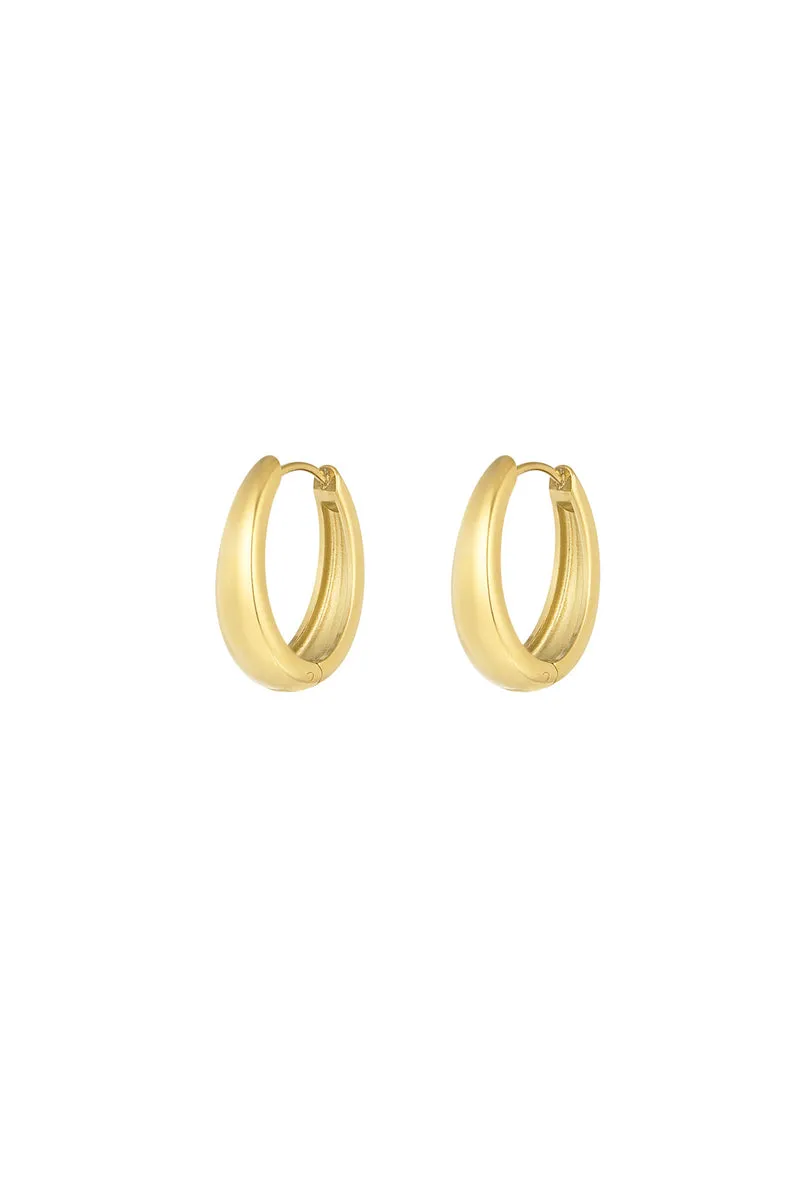 Oorbellen Dames – RVS – Minimalistisch – Goud & Zilver