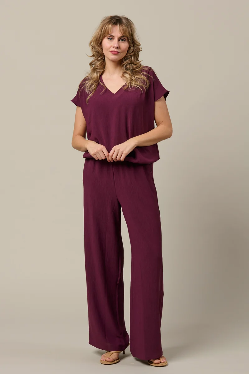 Broek Julie Plum PA443