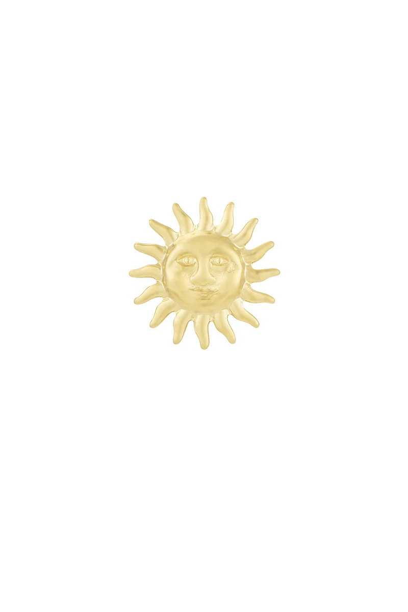 Broche Goud of Zilver – Roestvrij Staal – Dames