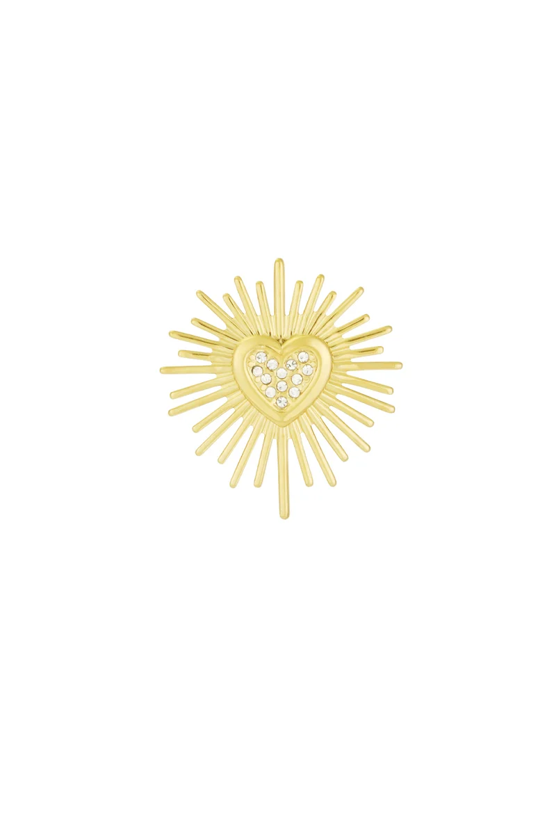 Broche Goud of Zilver – Roestvrij Staal – Dames Accessoire