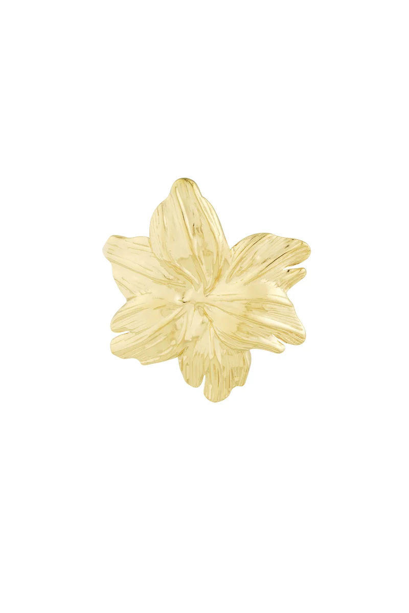 Broche Goud of Zilver – Roestvrij Staal – Dames