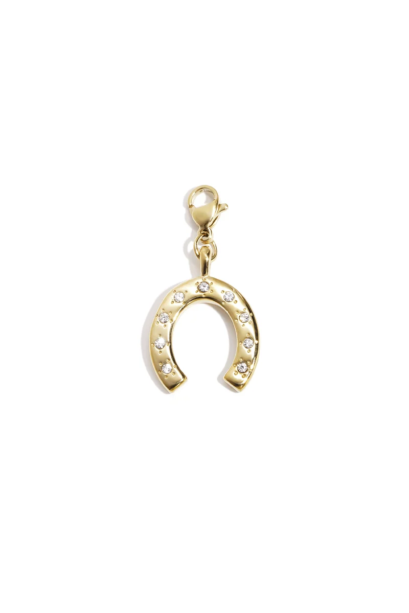 Hoefijzer Ketting Bedel RVS met Rhinestones - Gelukssymbool Lilli June