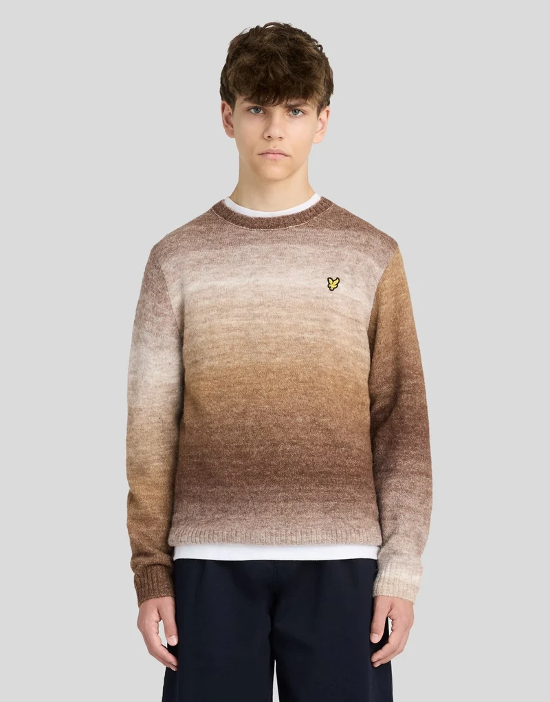 Ombre Crew Neck Jumper