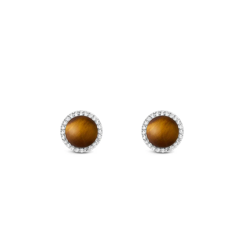 Daniel Wellington Audrey Tiger Eye Oorbellen DW00401421