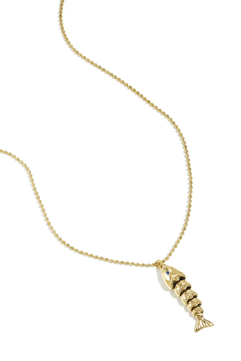 Lange ketting vis stainless steel