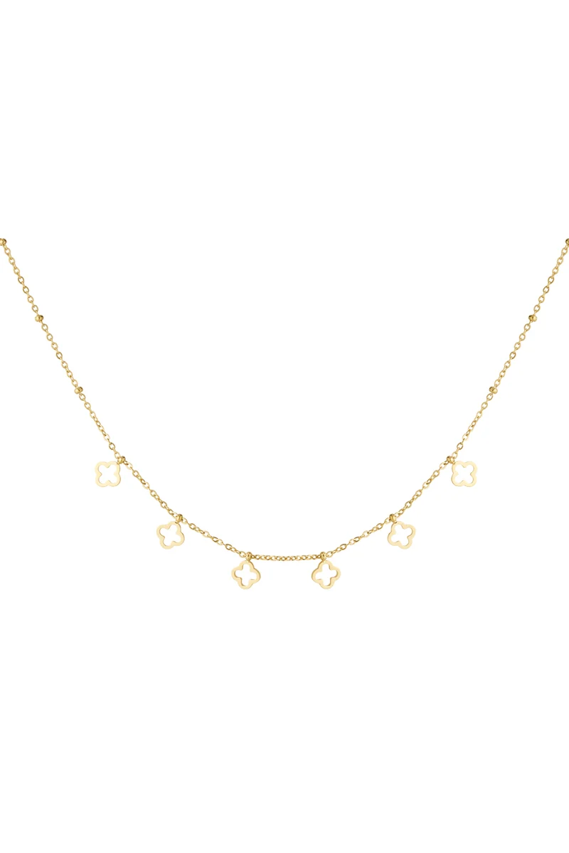 Ketting 6 klavers stainless steel