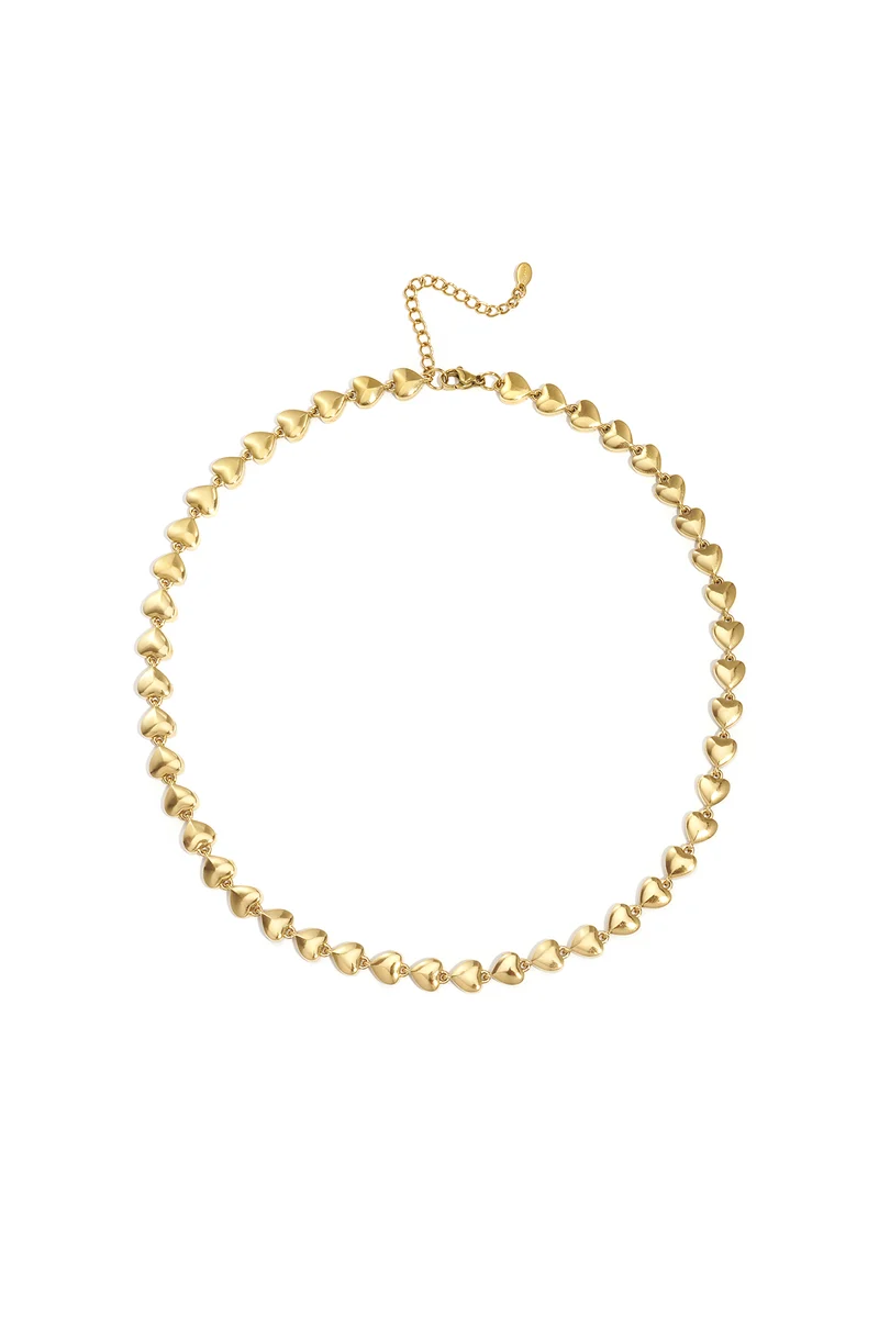 Ketting harten stainless steel