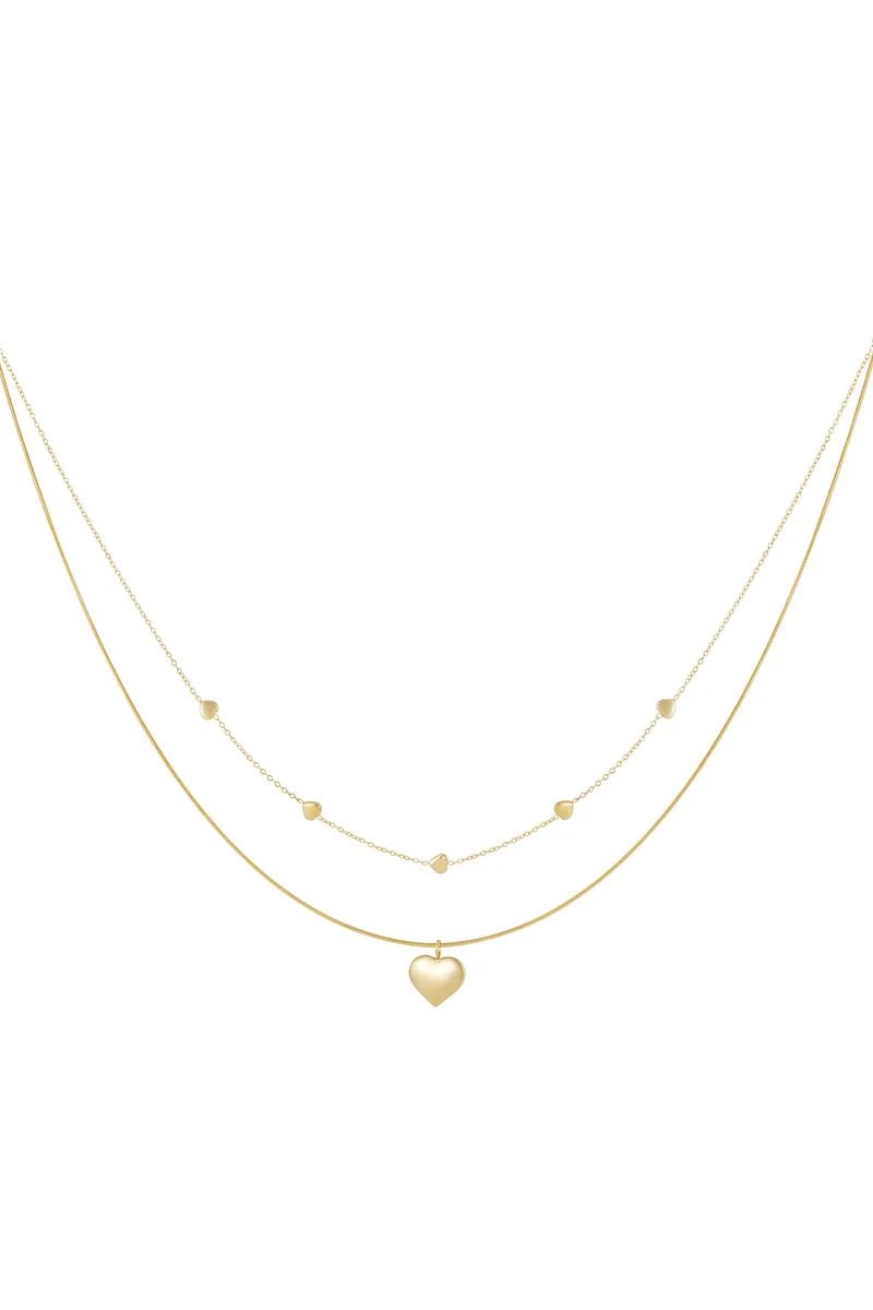 Ketting dubbel gelaagd stainless steel