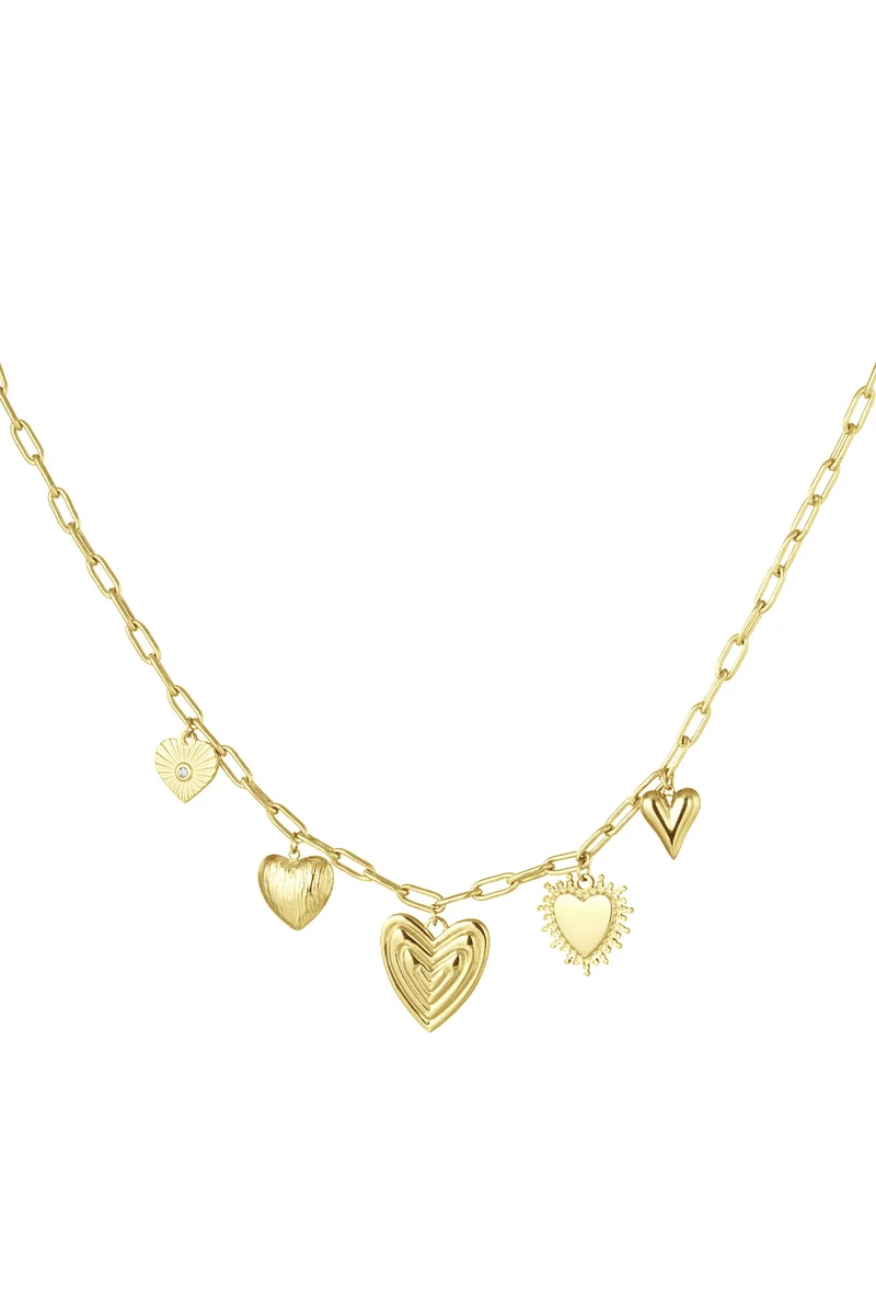 Bedel ketting hearts for the win stainless steel