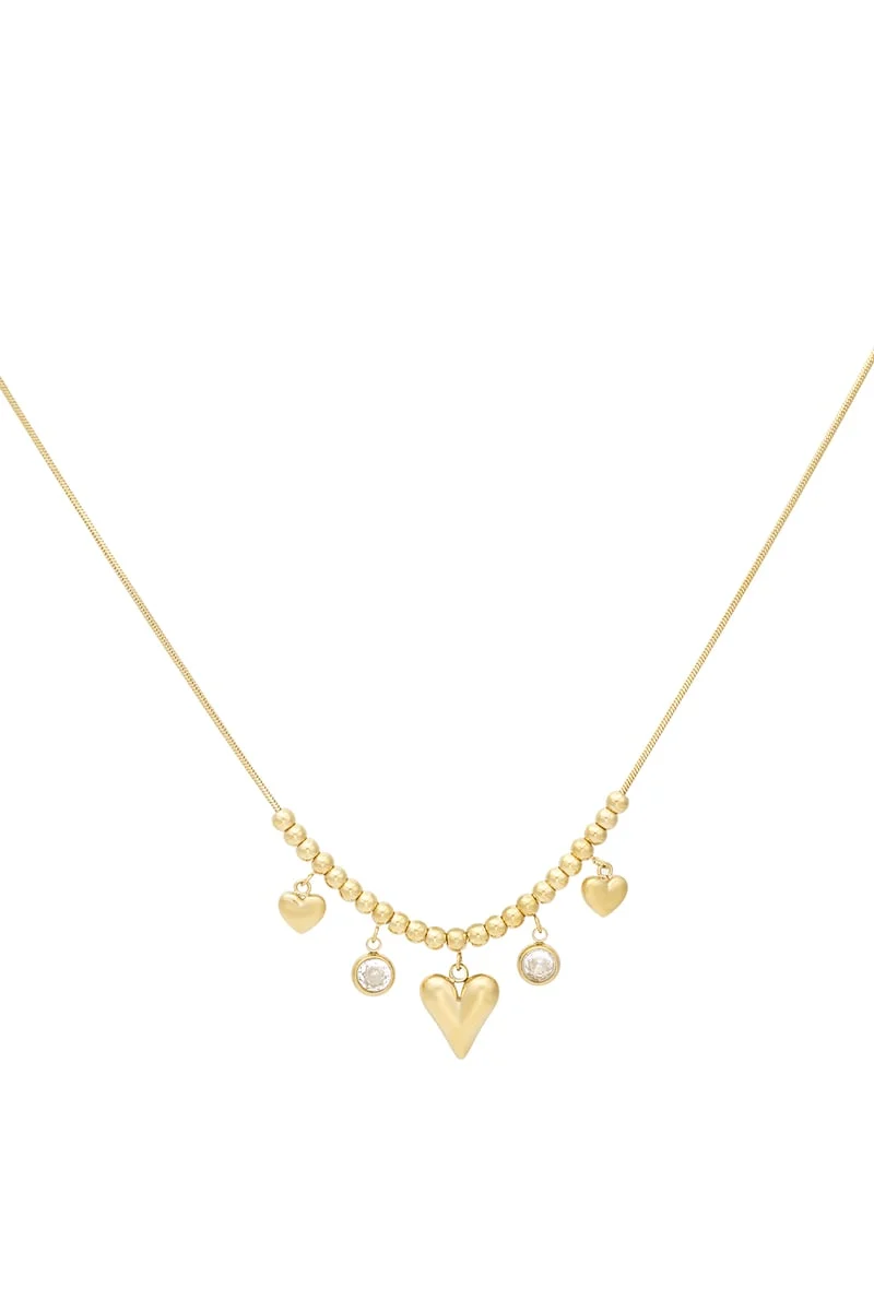 Bedel ketting glanzend hart stainless steel