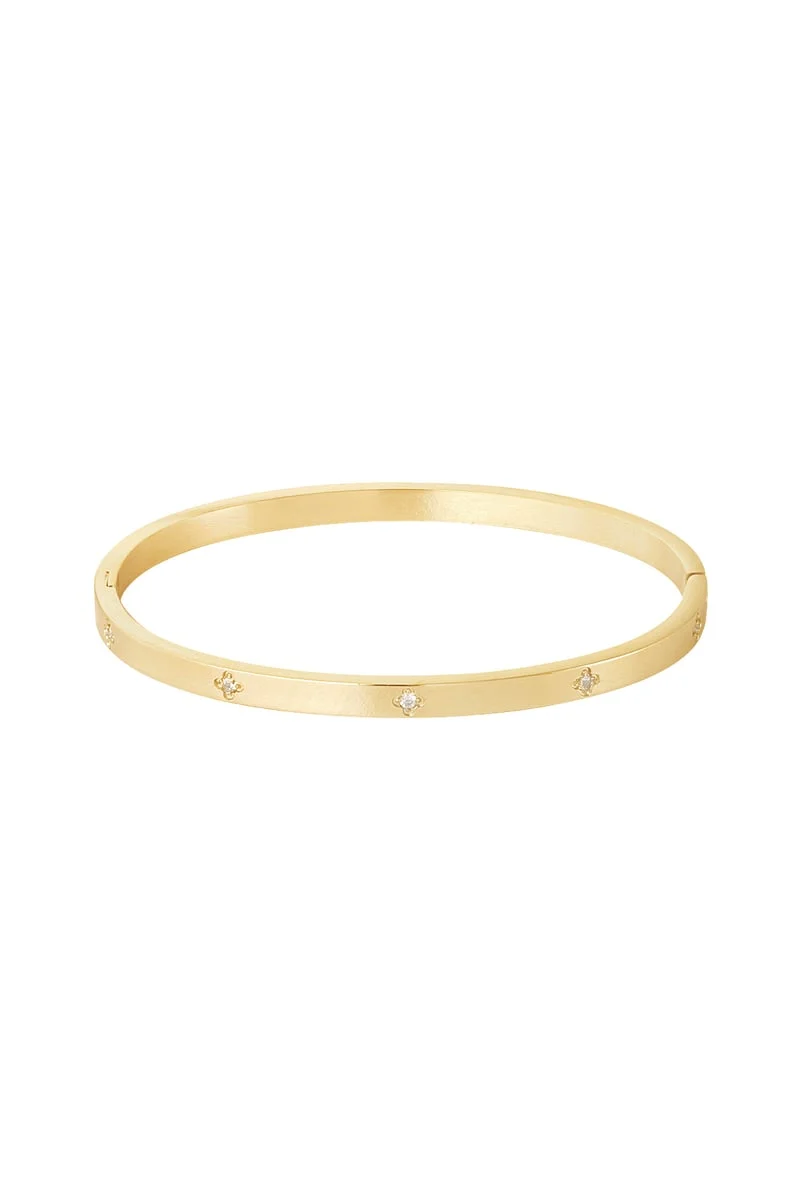 Bangle Steentjes stainless steel