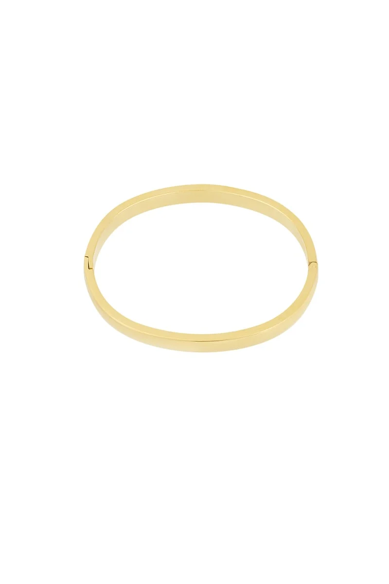 Bangle klassiek stainless steel