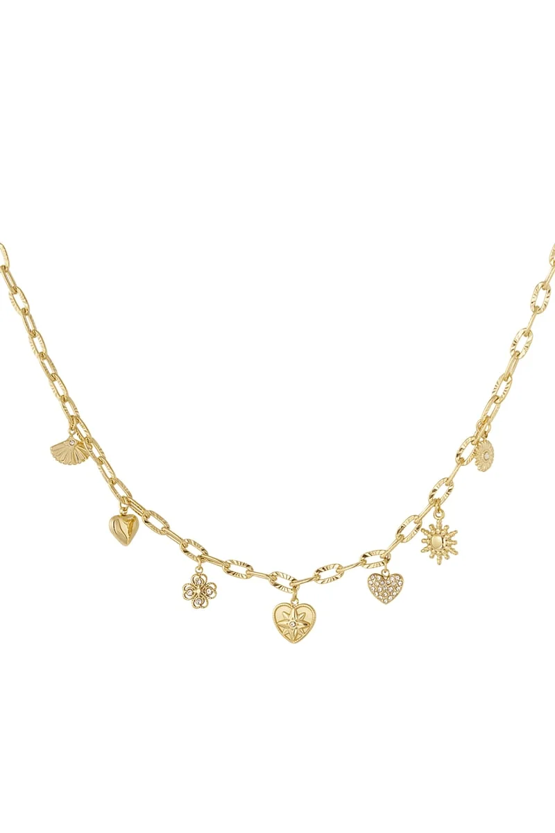 Bedel ketting daily stainless steel