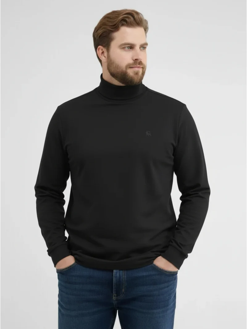 Langarmshirt mit Rollkragen in Übergrößen